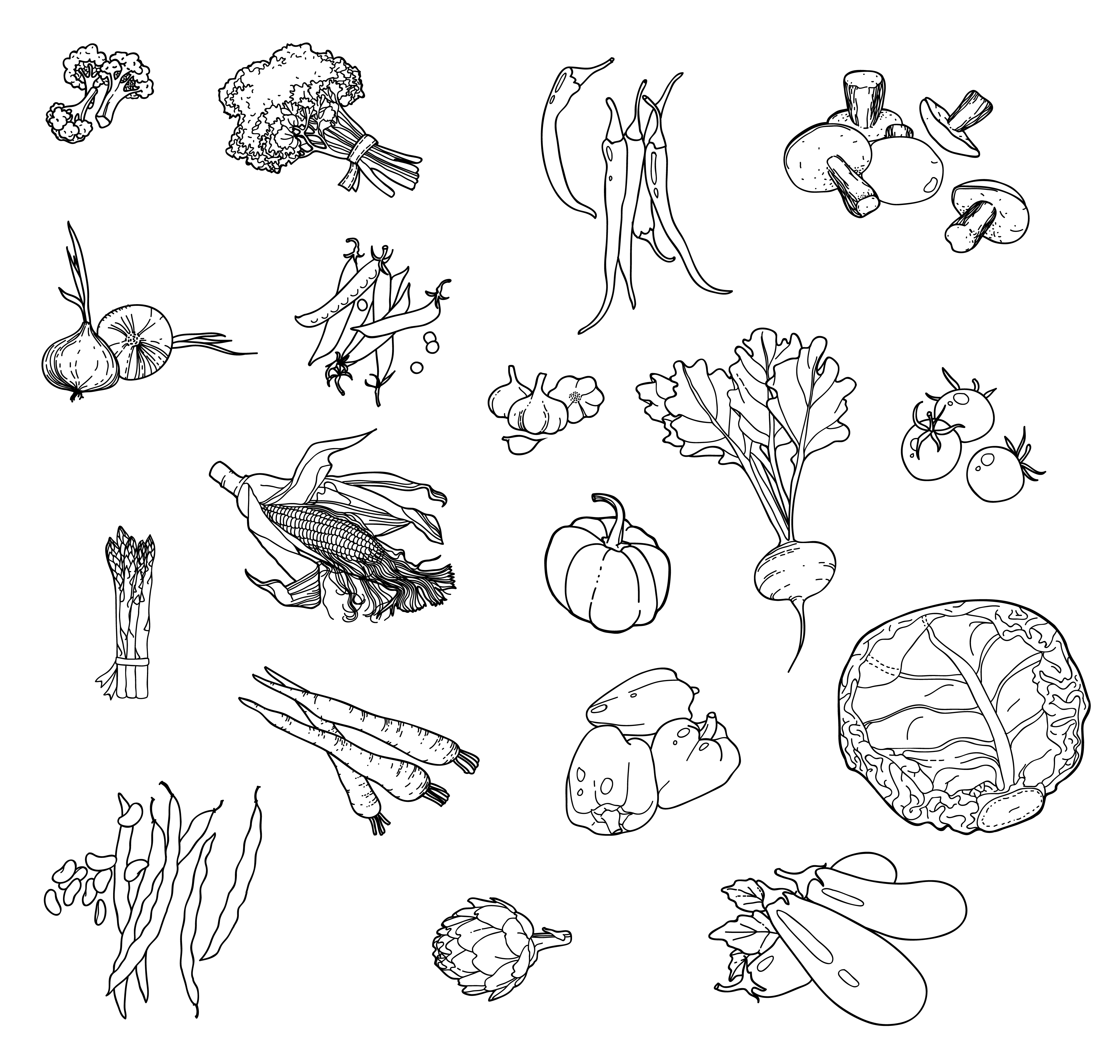 Picture shows drawn vegetables. Designed by veraholera / Freepik